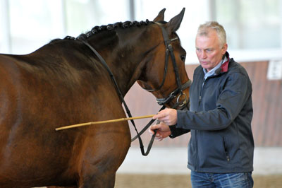 Morten Thomsen: „Das Pferd muss bei mir bleiben. Ich will bei meiner Methode zwei Augen und Ohren.“
