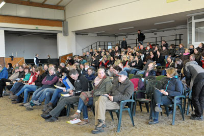 220 Besucher haben das RRI-Bodenarbeitsseminar an der Westfälischen Reit- und Fahrschule in Münster besucht.